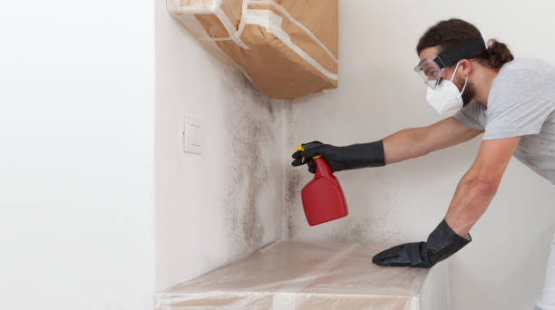 Professional Bathroom Mold Removal technician working in Highlands, NJ