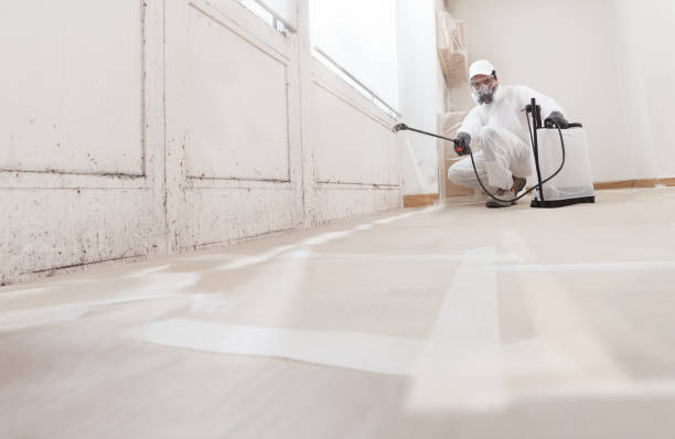 24/7 Emergency Bathroom Mold Removal experts in Highlands, NJ